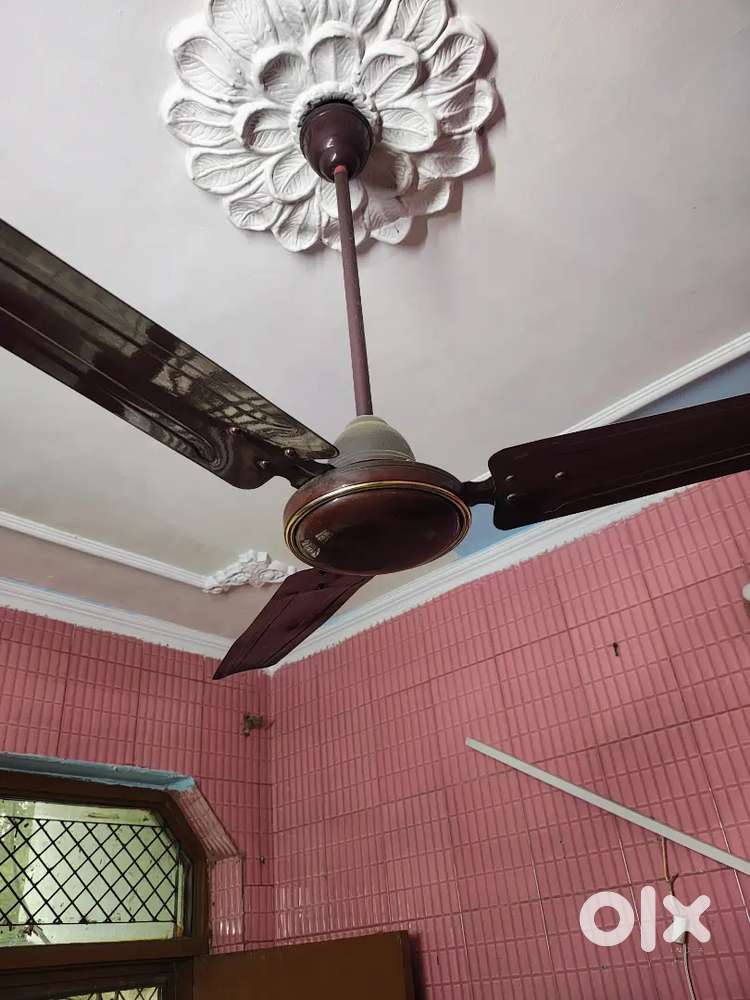 Celing fan Fans fast