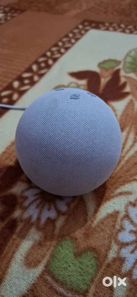 Amazon alexa 6 mouth old