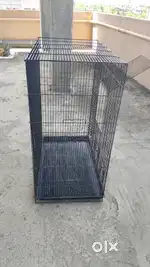 Bird's cage
