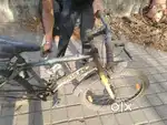 Selling Hercules cycle