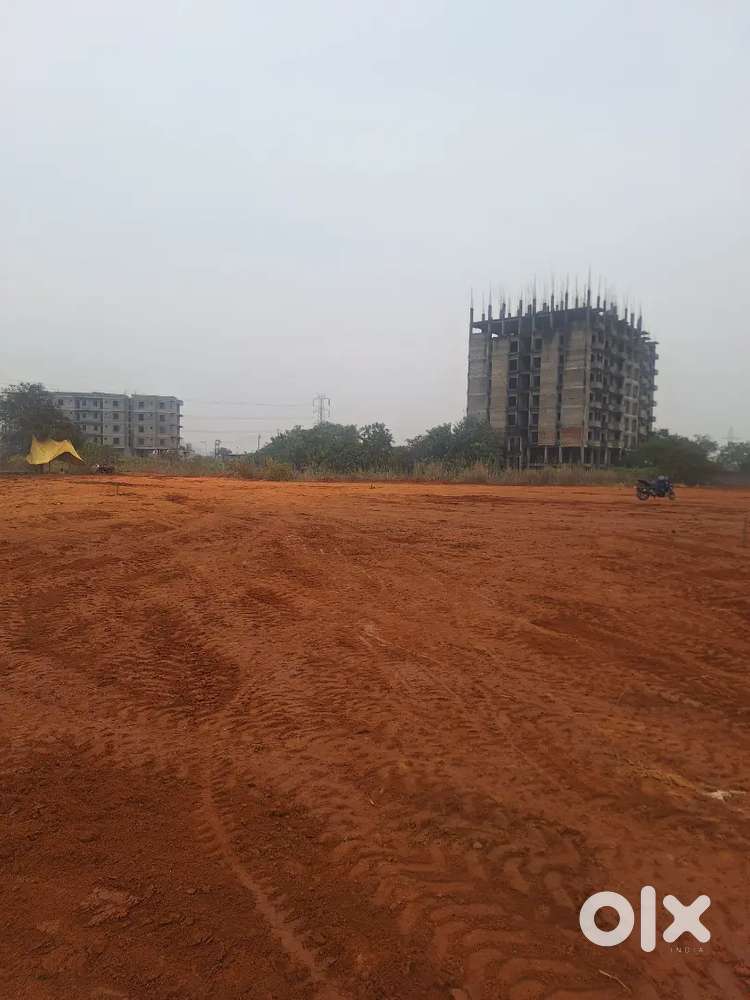 Free litigation land