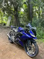 r15 v3 2018 ending model december