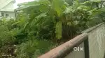 5.250 cent Land for sale at kadavanthra k. P valluvan road