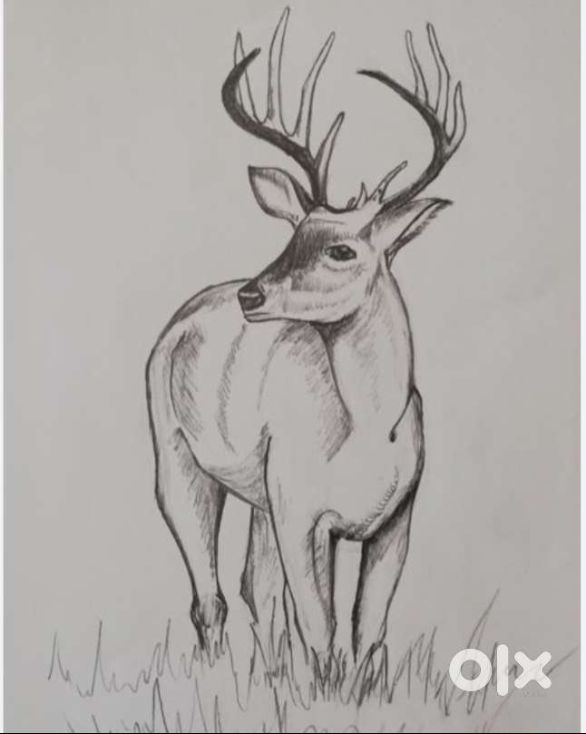 SARANGI ARTS & CRAFTS Classes & Home Decor Sale(Pls Contact)