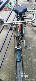 20 Days old Cycle
