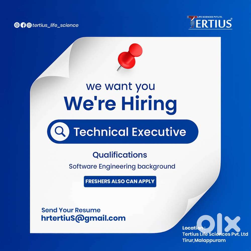 Technical executive
