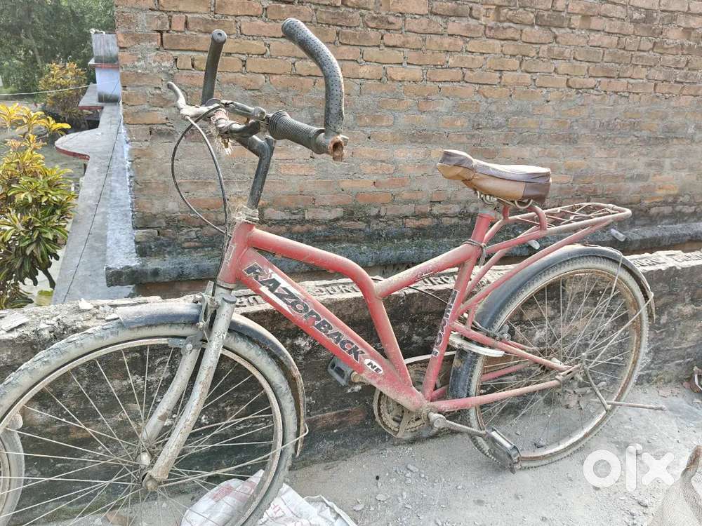Razor Back and Citi Life Cycle