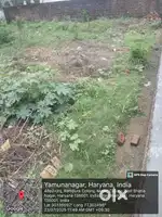 Green park Kalindi colony Lal dwara