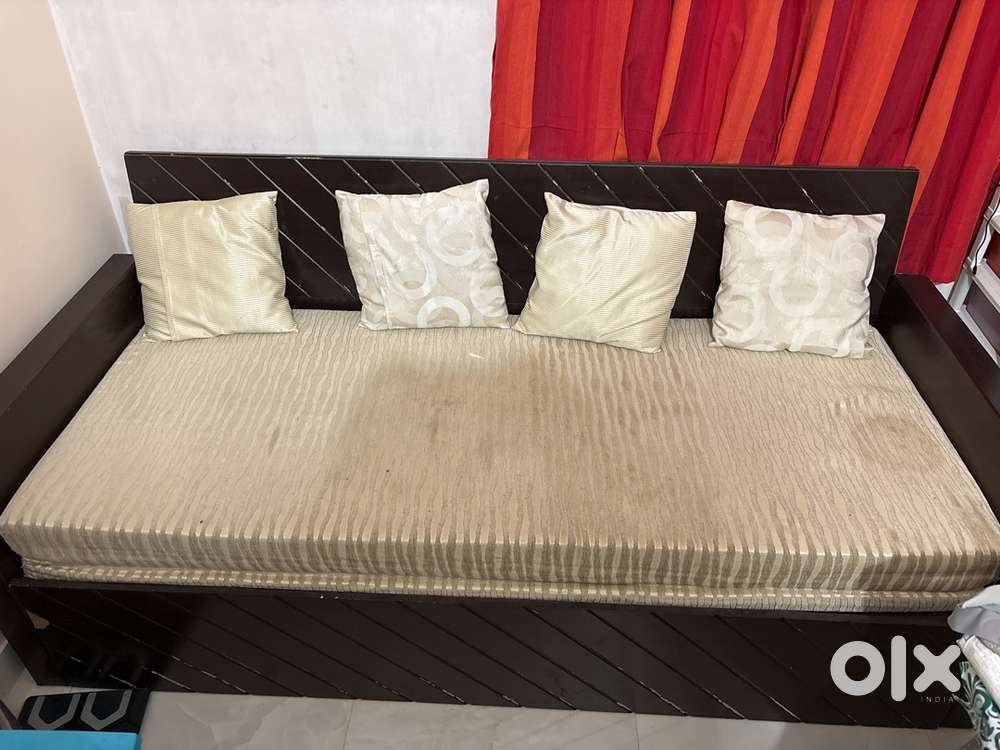 Sofa Cum Bed