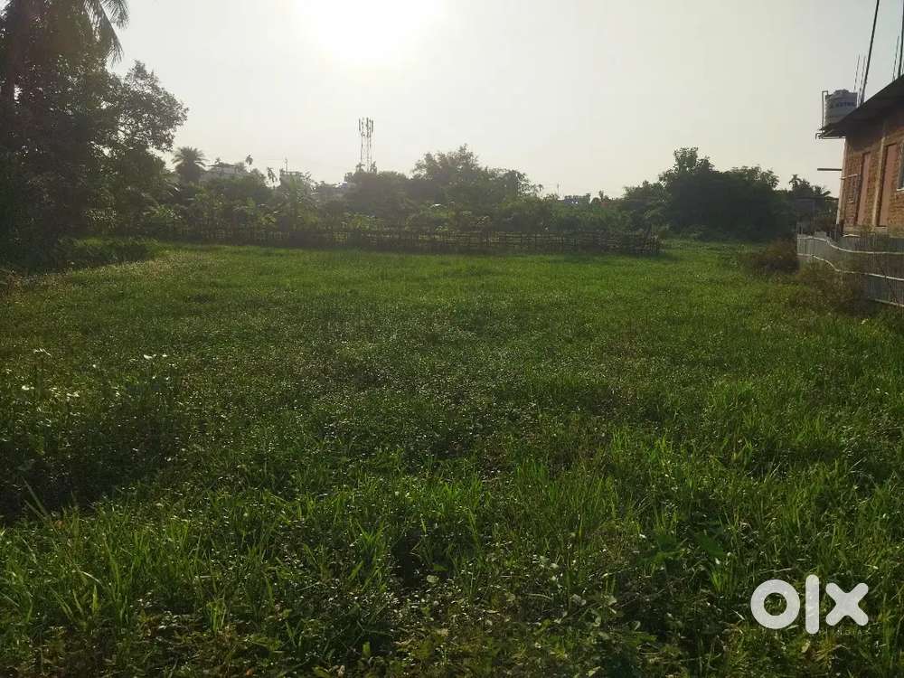 4 gonda jayga bikri kora hobe