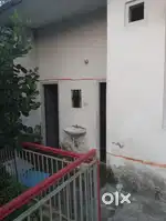Only for collage students