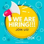 Data entry and whatsapp operator