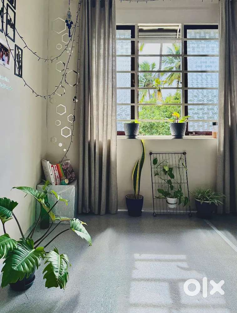 Single room available for Female