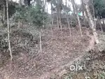 Land will be suitable for home stay ,resorts ,  2 highway facing