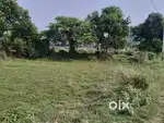 Bata mangala