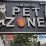 Marshalls Petzone Billing and Sales Executive
