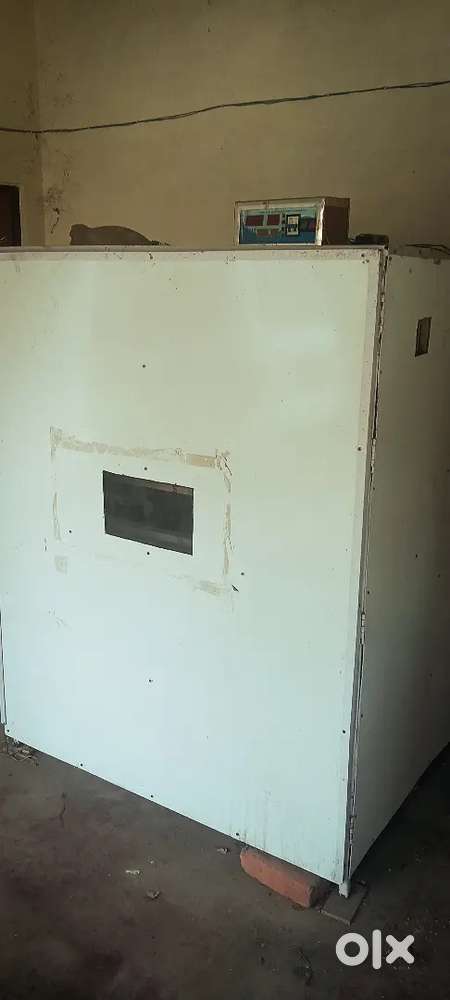 Eggs incubator