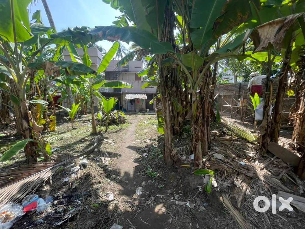 Plot for Sale_Kamaleswaram Nambi Gardens