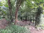 Aluva athani chengamanad poikattusery 45 cent
