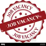 HIRING FRESHER AND EXPERIENCE CANDIDATES FOR OFFICE WORK