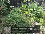 a plot 45*23 ft