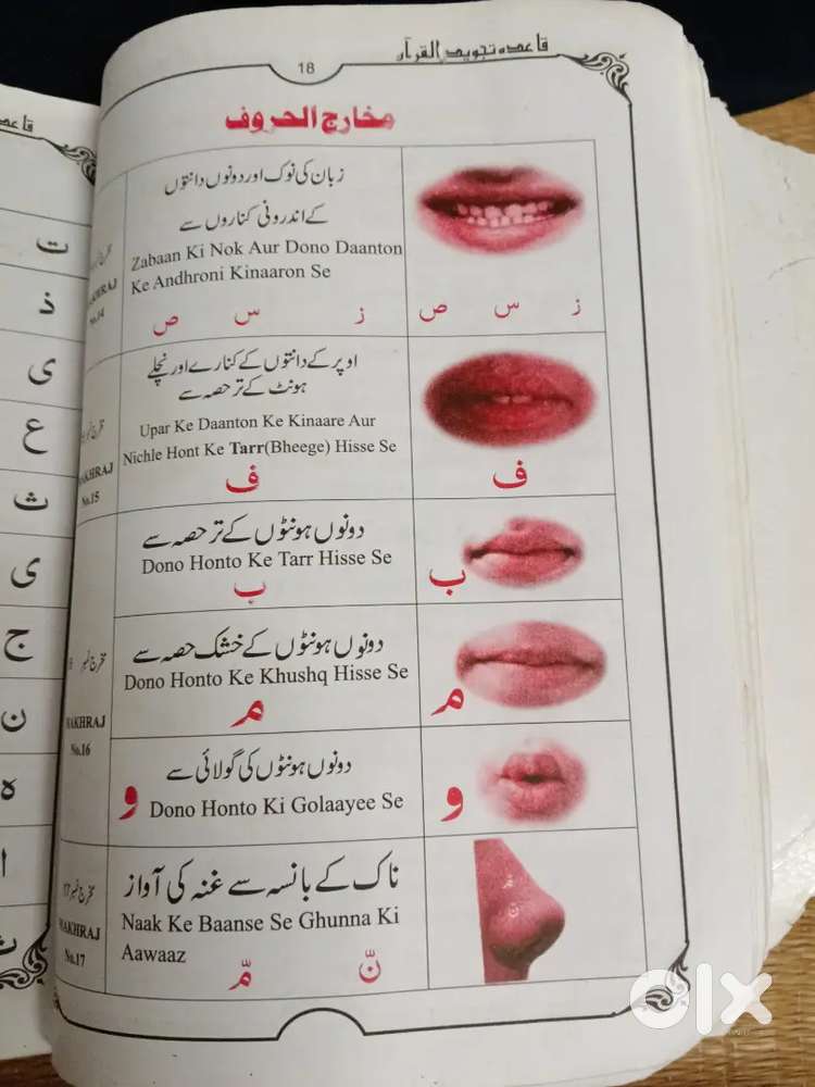 Arabic urdu