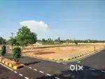 Bishop heber college To Allithurai road near plots for sale