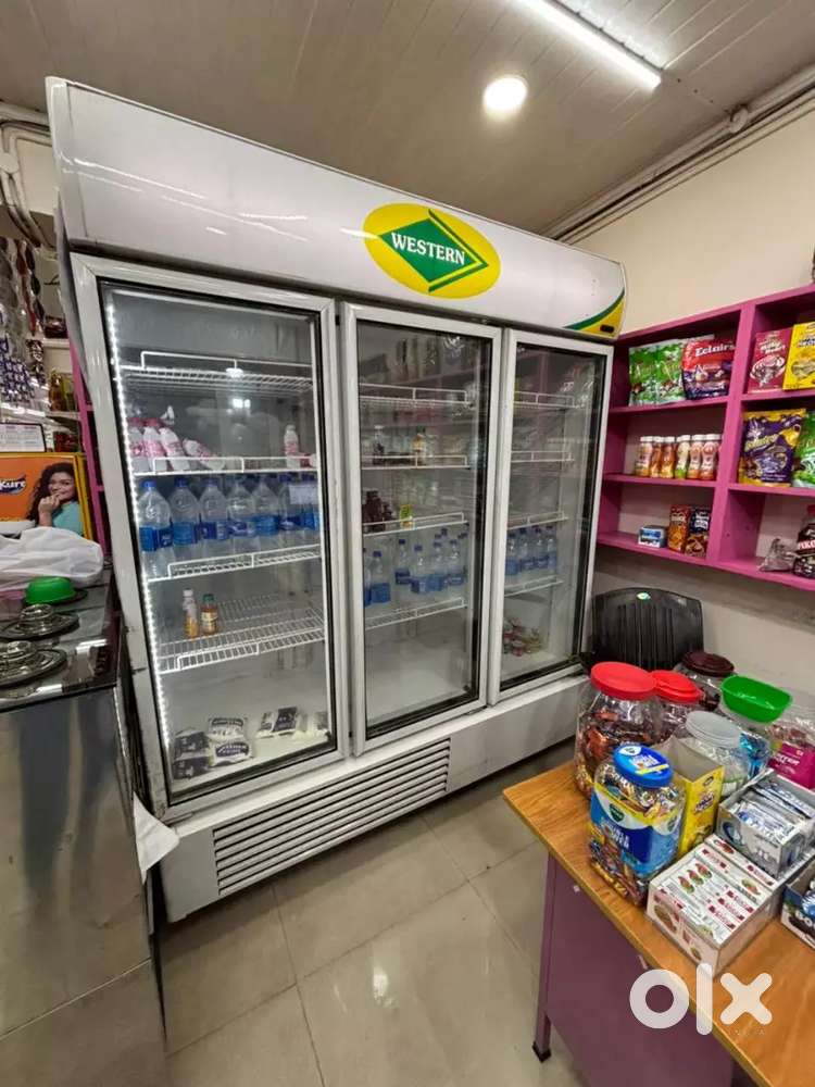 Western 3 door Fridge