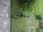 21 gear cycle