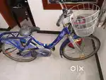 cycle model 2021