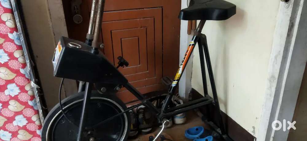 Exercise cycle