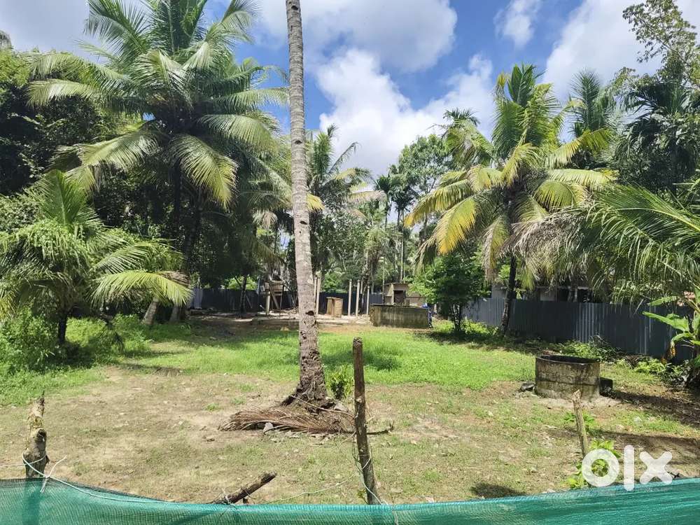 Plot for sale  16.5 cent