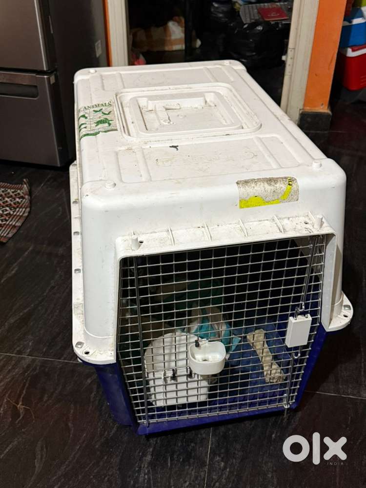 Dog cage big