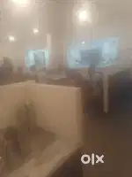 Need staff for leading Restaurant