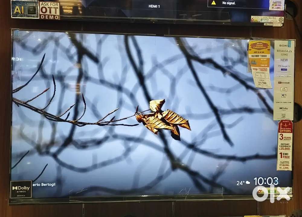 Sony Bravia 2 s25 m2