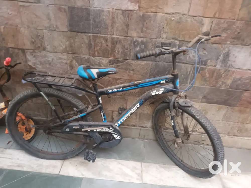 Adult kids bicycle.