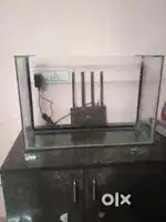 Urgent fish tank for sale