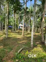 68 cent plot for sale in Kayalode, Kannur