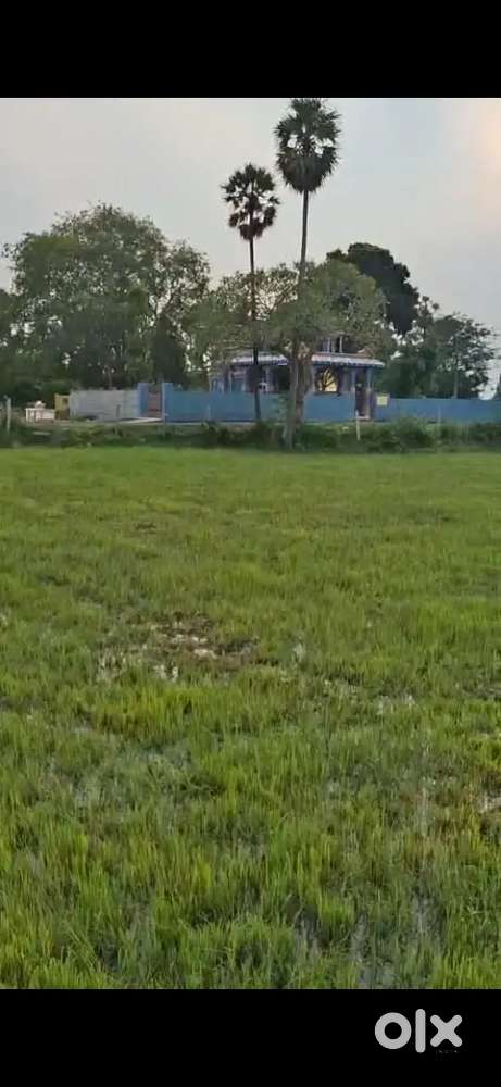 Agriculture  Farm Land 2.34 cent