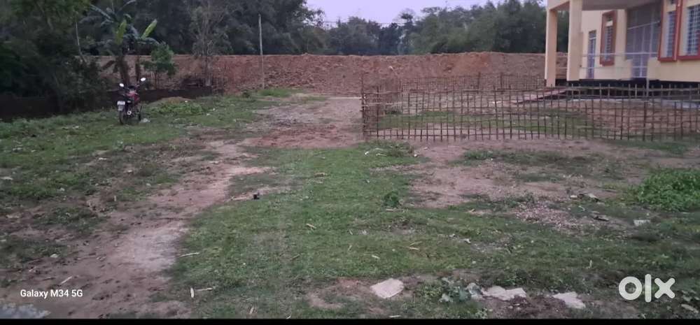 3 bigha land for sale Dibrugarh lezai near dewnbari urgent sale