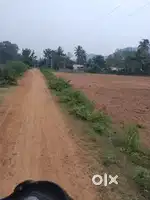 Land of 273 acres for sale