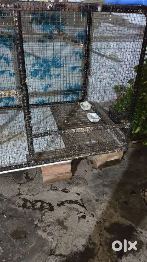 Cage for Bird,bog,cat, etc
