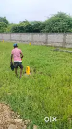 dtcp approval