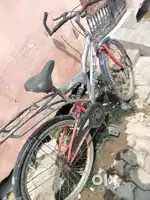 Sk Bikes new one