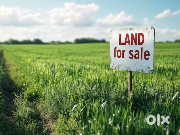 Residential Land for Sale – Mundayad, Kannur-NZ
