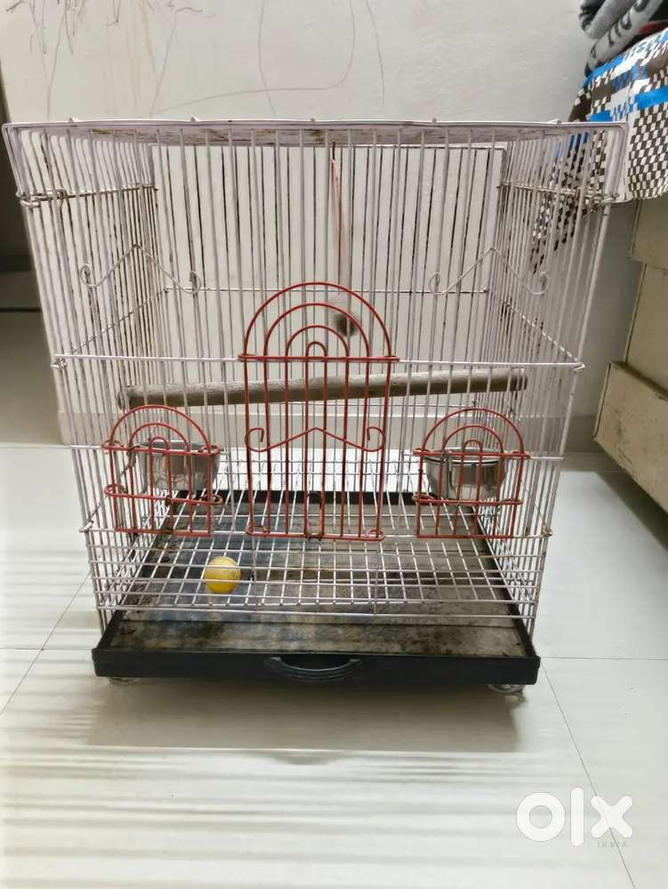 BIRD CAGE FOR DOMESTIC USE
