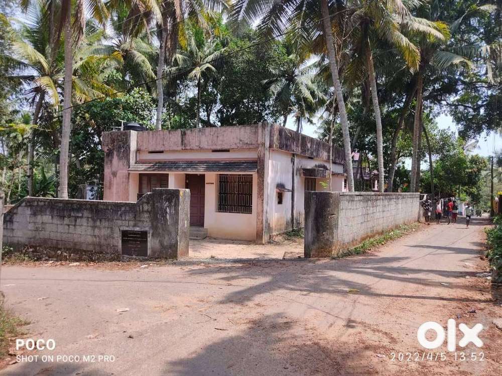 Property for Sale – 6.25cnt