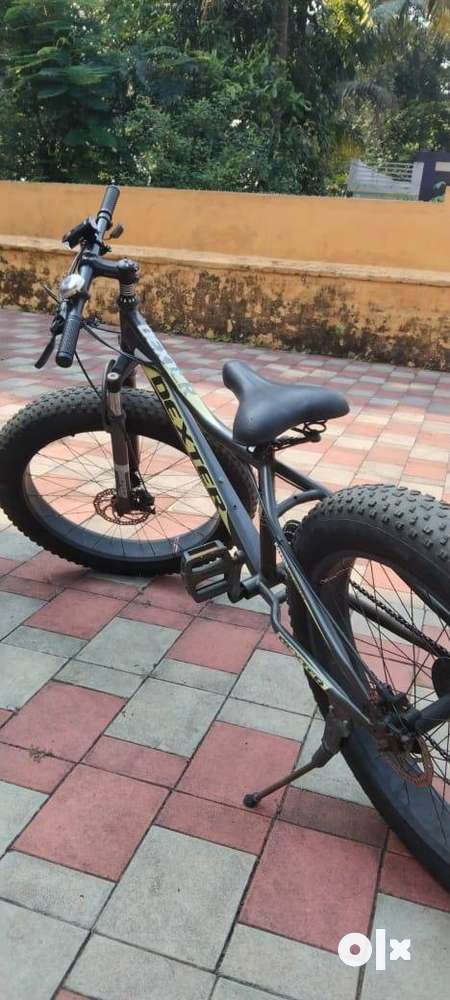 dexter fat bike