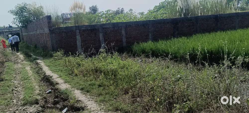 Patna plot for sell