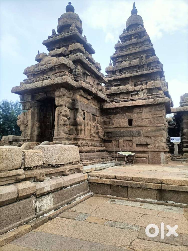 SHARING ACCOMMODATION